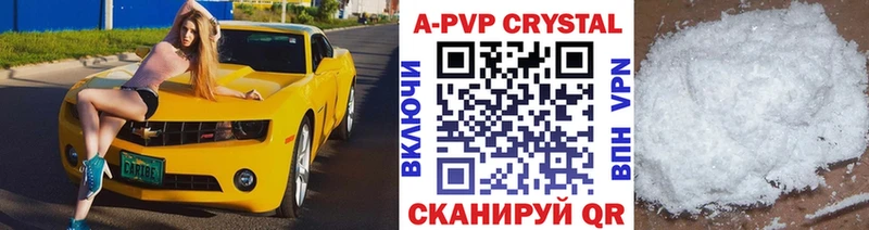 A PVP СК КРИС  Горбатов 