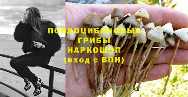 шишки Алексин