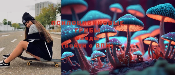 шишки Алексин