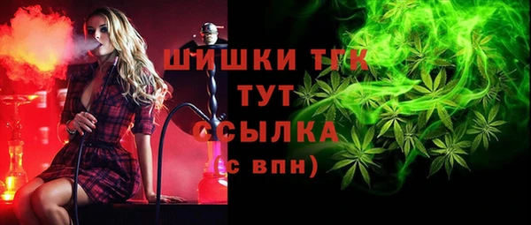 гашик Алексеевка