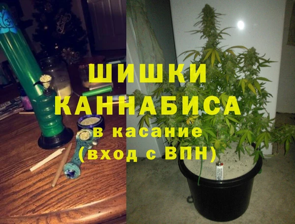 гашик Алексеевка