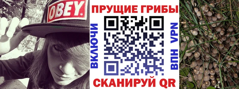Псилоцибиновые грибы прущие грибы хочу наркоту Горбатов